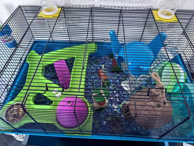 Hamster cage