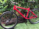 Carrea axle adult mountain bike 