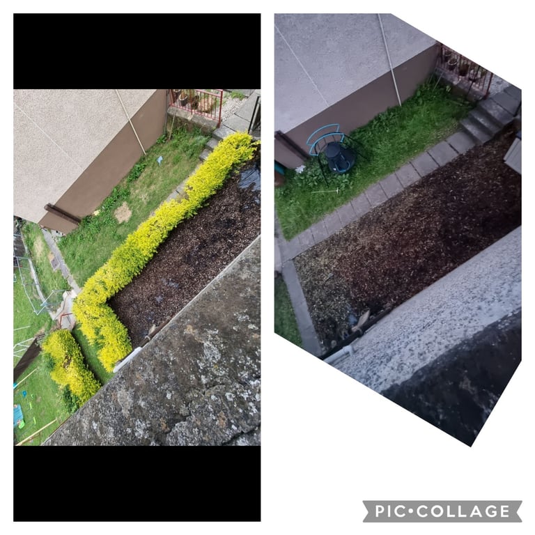 GARDEN MAINTENANCE 