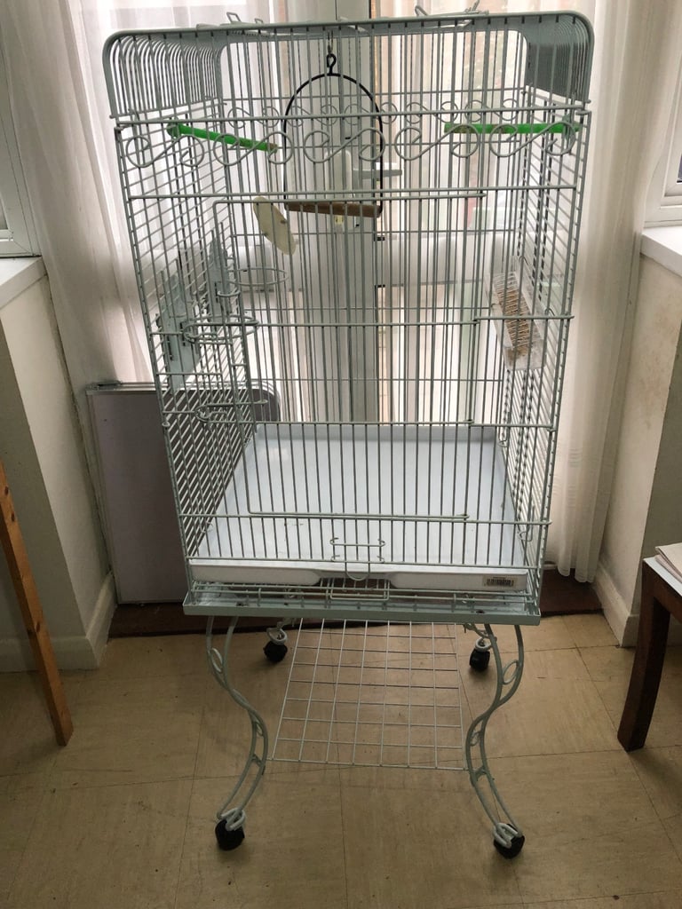 Bird cage 