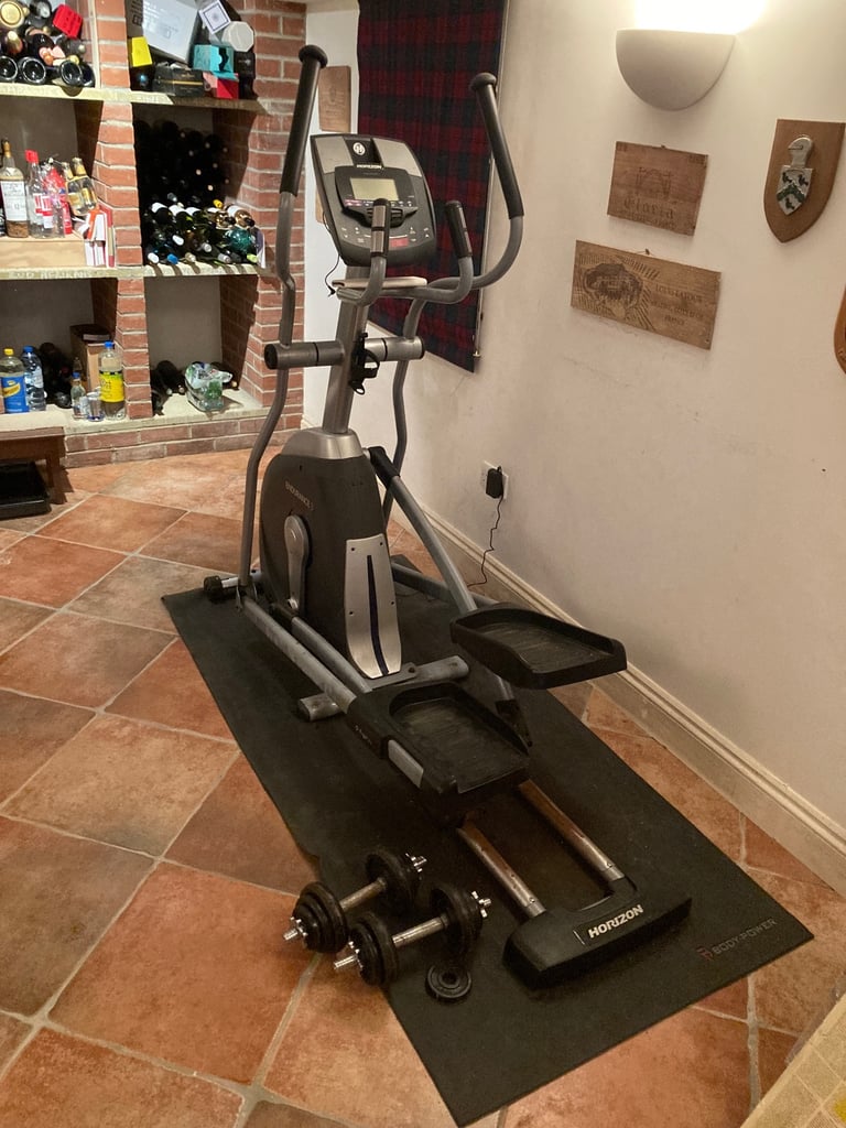 Whole gym equipment. Horizon Endurance 3 with sit up bench and abs roll bat 