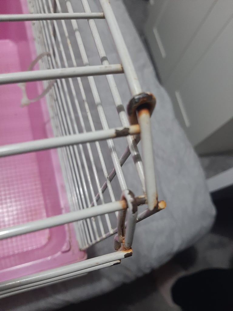  Guinea pig or rabbit cage 