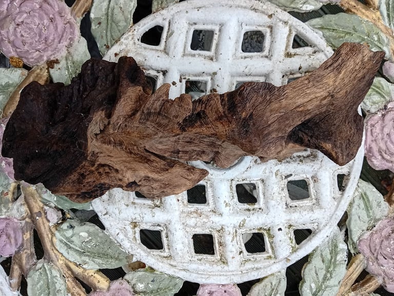 Cornish oak driftwood, bogwood, aquarium fish tank wood