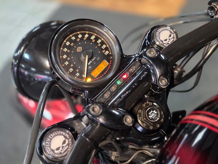 2014 HARLEY-DAVIDSON FORTY EIGHT 48 XL 1200 X 