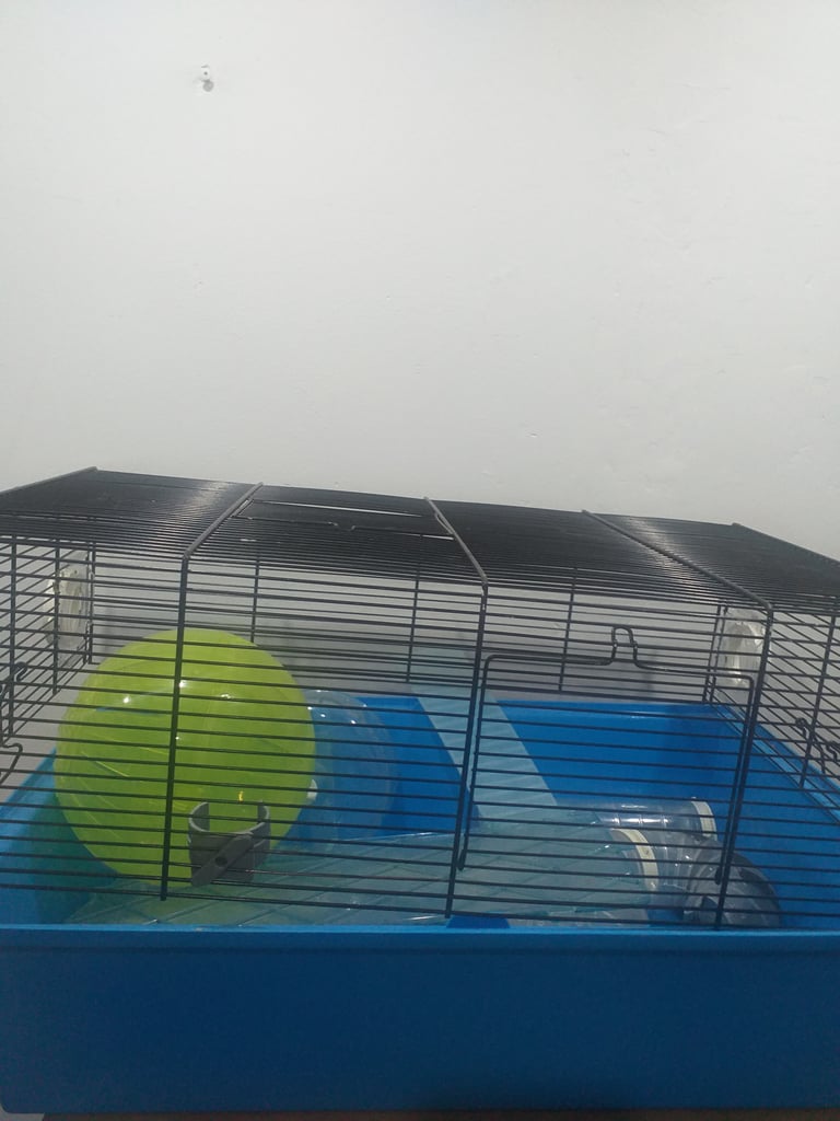Hamster cage 