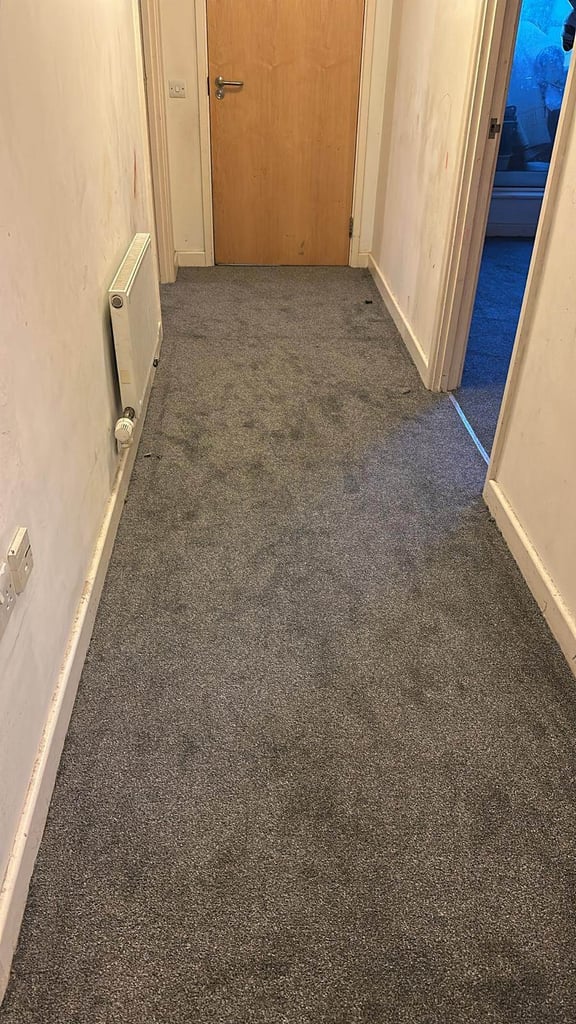 1 room in a 2 bed flat 