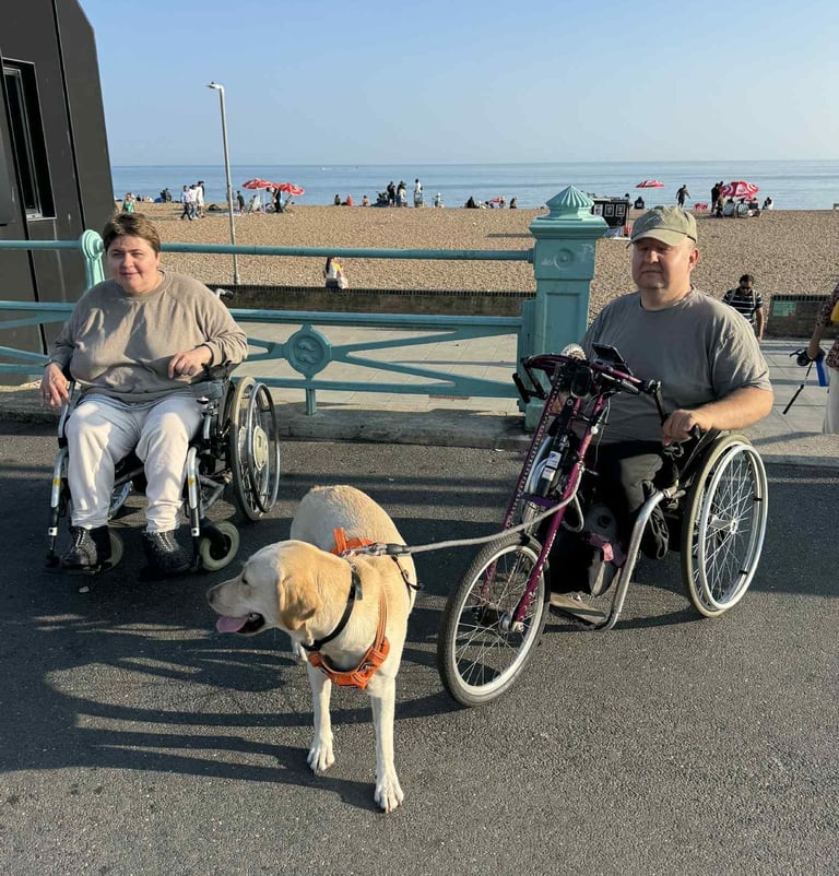 image for Dog Sitting & Walking – Stratford / Bow Church 
