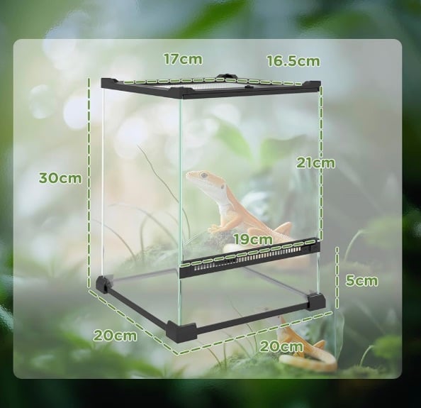 Crested gecko terrarium 