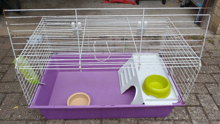Guinea pig cage