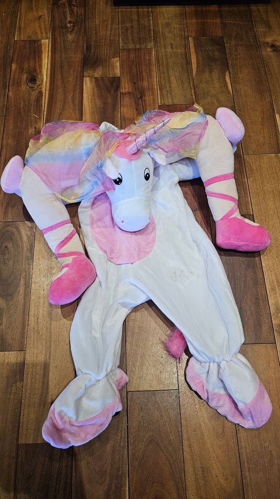 Kids Halloween carry me costume