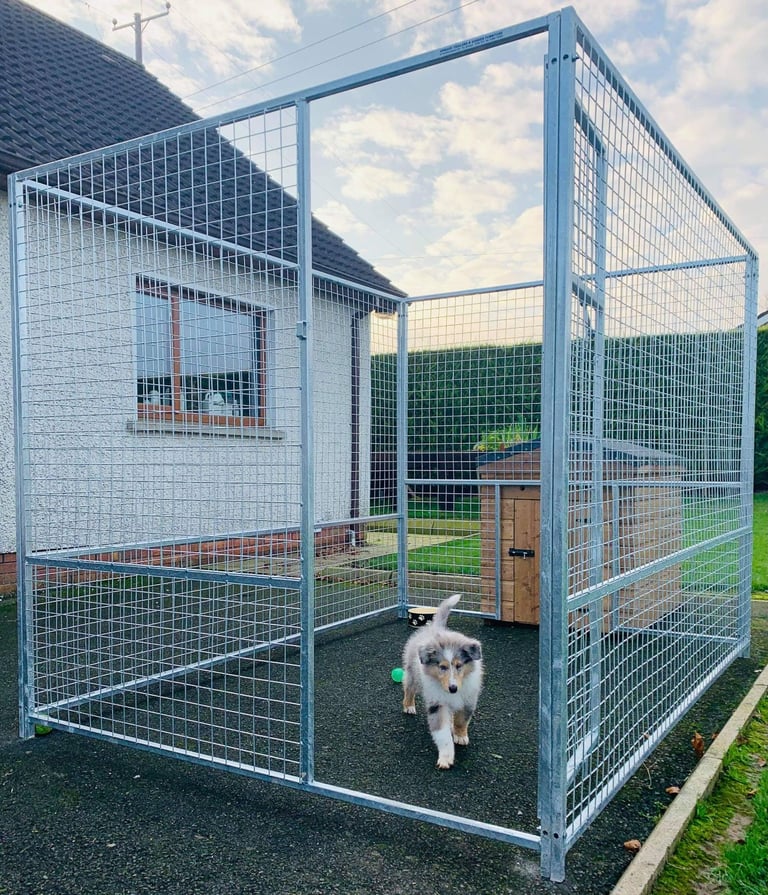 New galvanised dog cages pens enclosures  and kennels