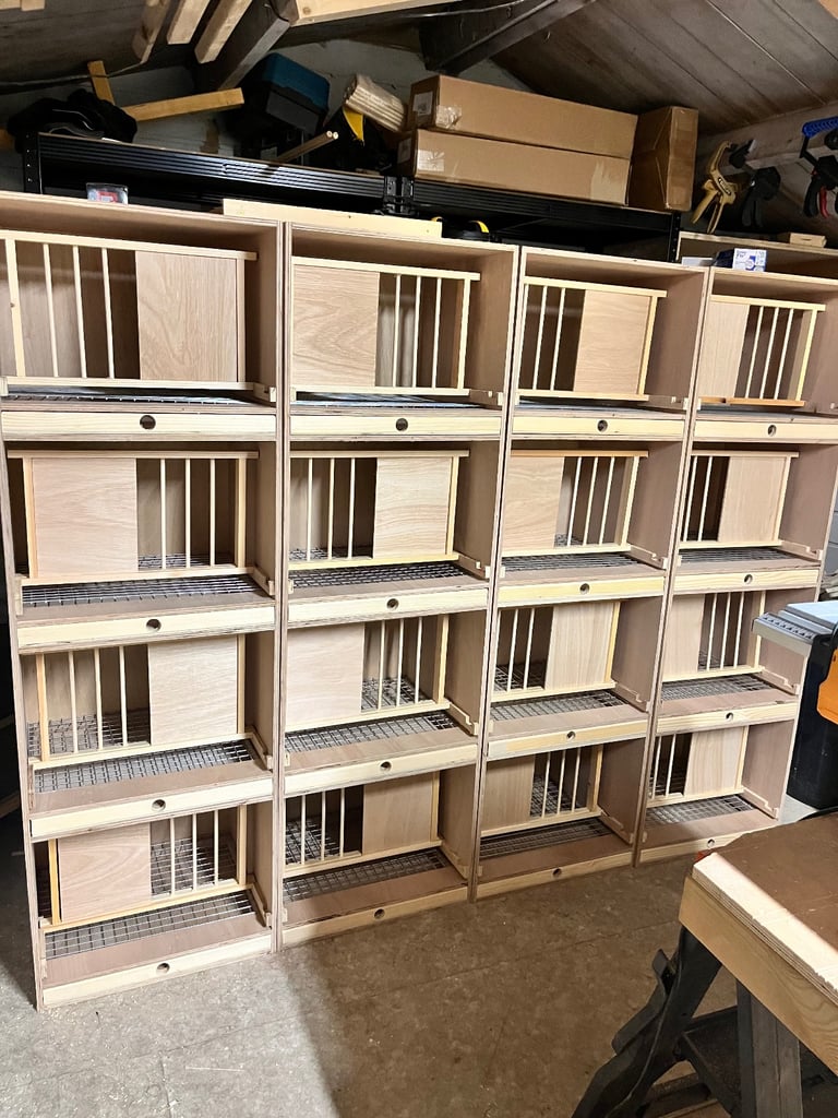 Pigeon loft equipment 