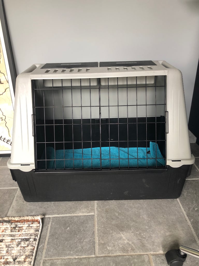 Dog travel crate