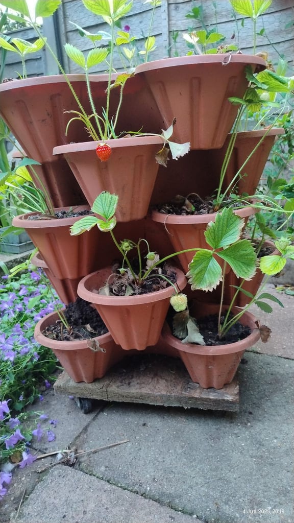 image for Strawberry planter tower