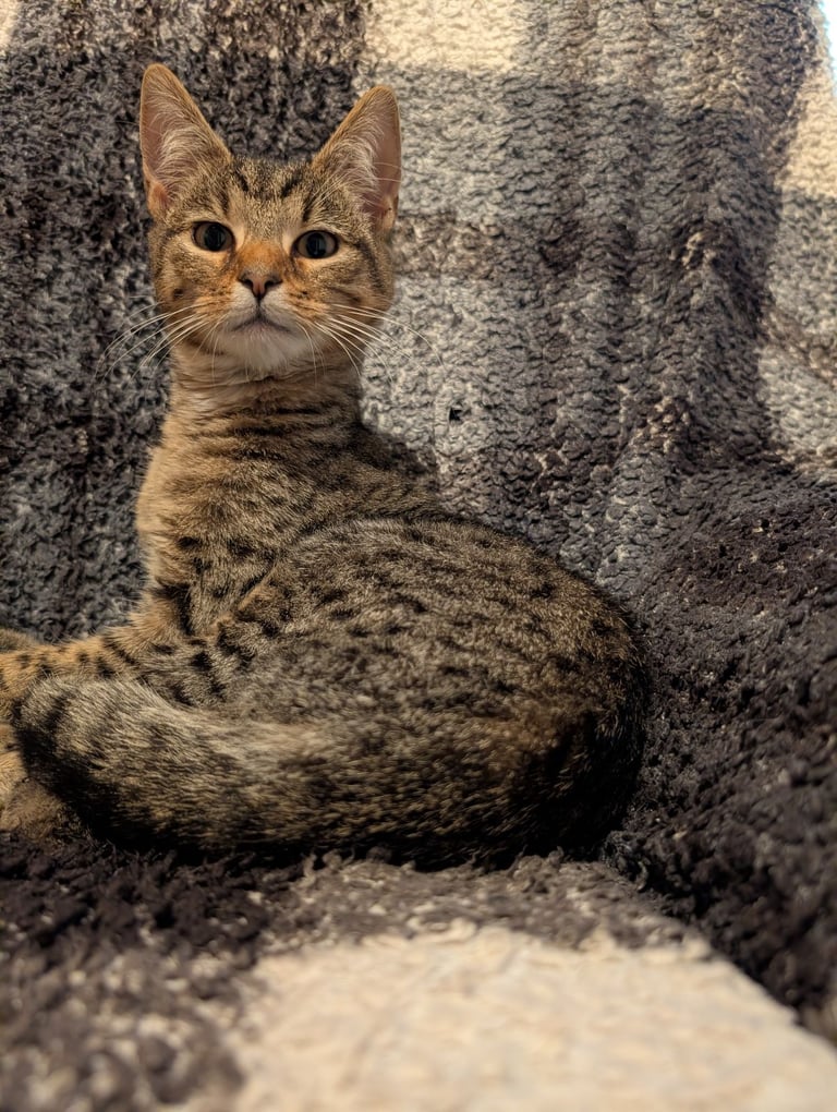 2 beautiful brothers 