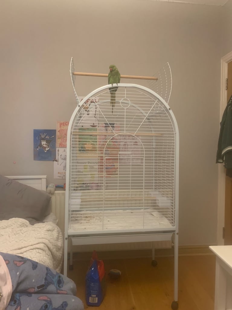 Large parrots cage.