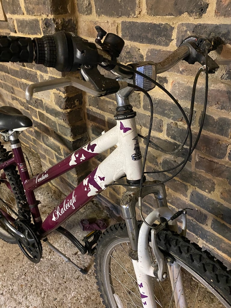 Bike (free)