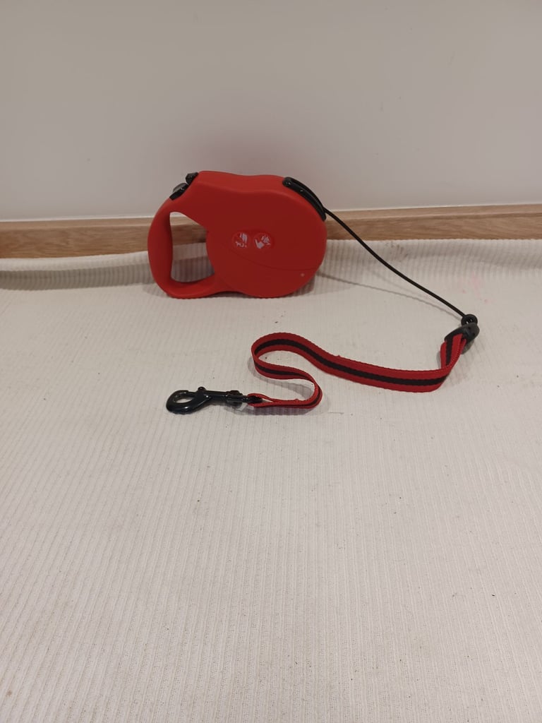 Dog Leads 