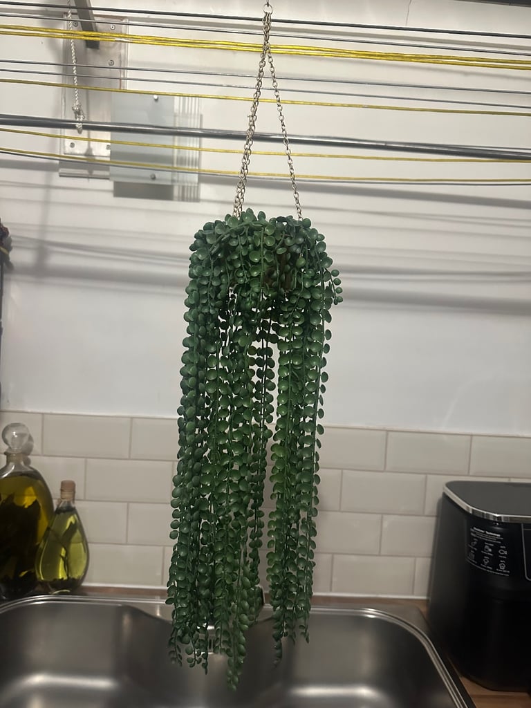 image for Artificial hanging plant + Pot