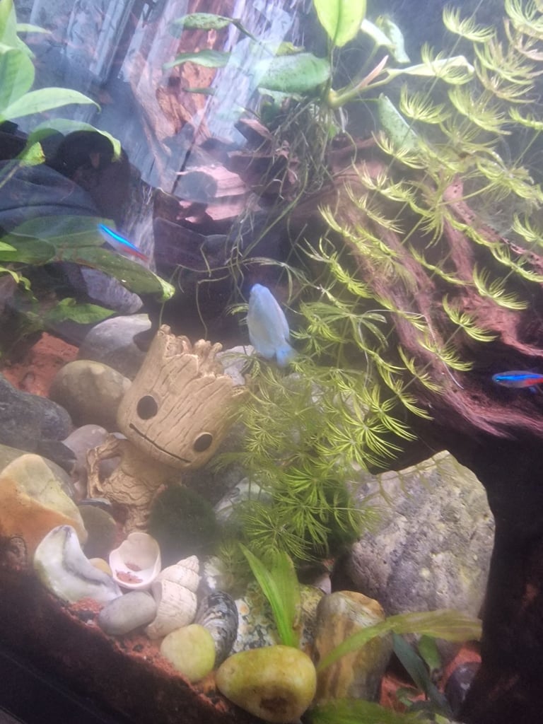 image for 120 litre full setup 