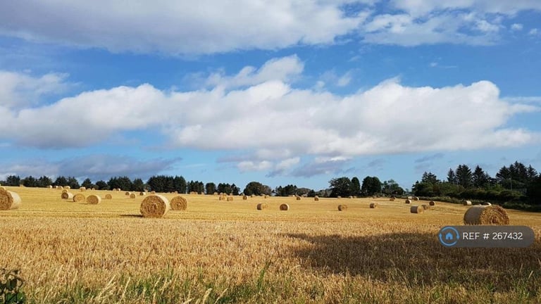 3 bedroom house in Fourwinds, Aberdeen, AB15 (3 bed) (#267432)