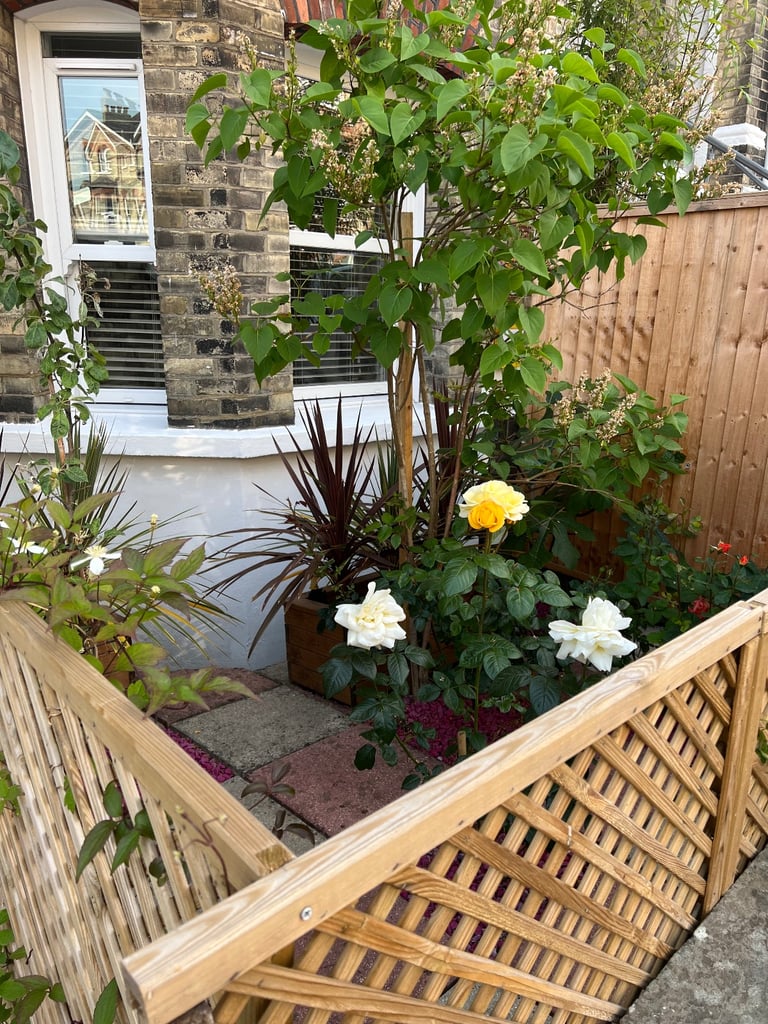 CRYSTAL PALACE TO SURREY