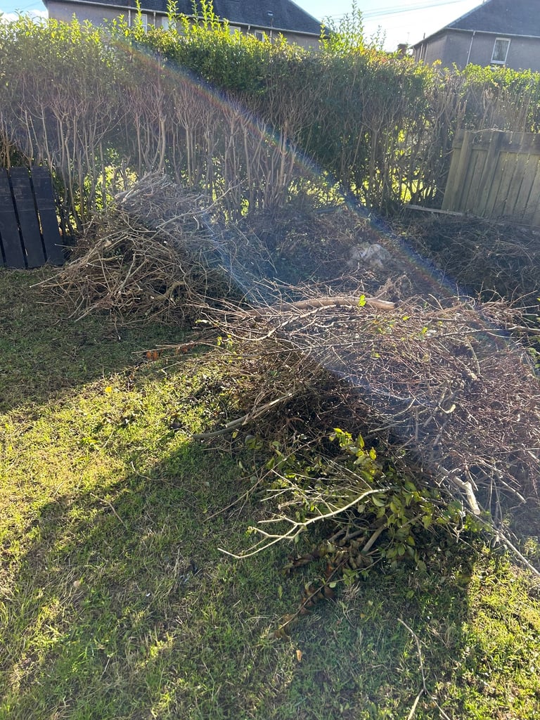 image for FREE BONFIRE KINDLING/WOOD