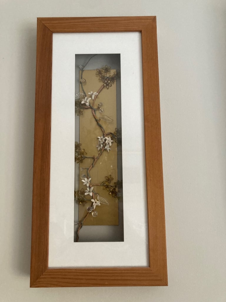 image for Picture Next