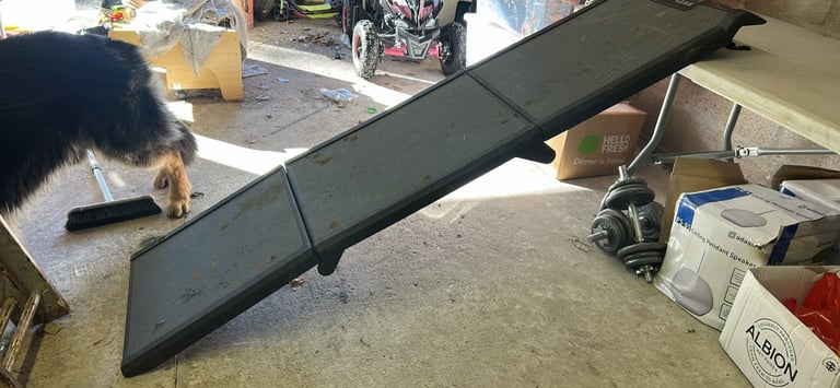 Dog Ramp 