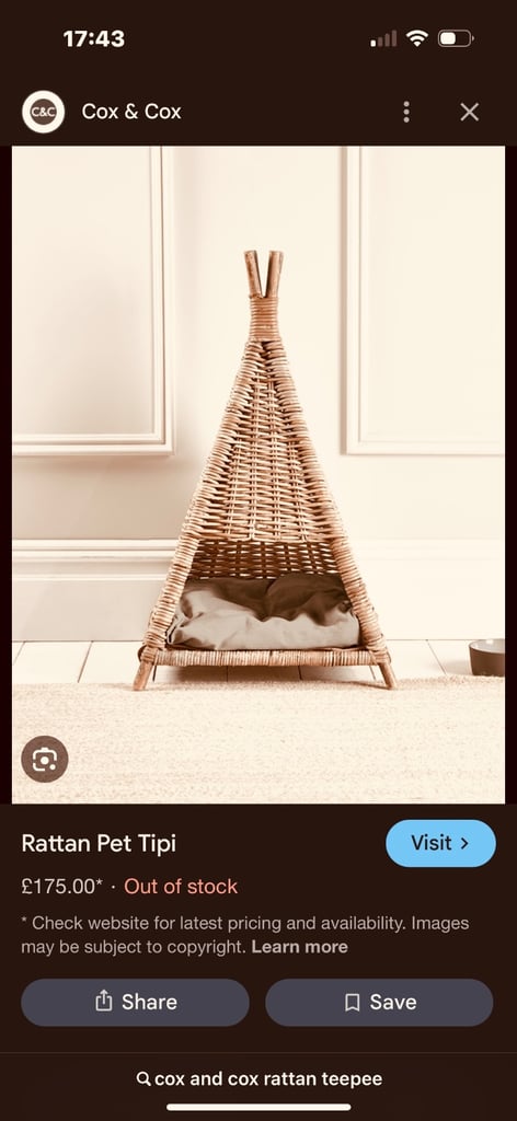 Cox and Cox Rattan Pet Teepee