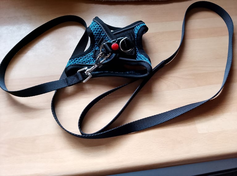 New XS Cat Harness with Lead