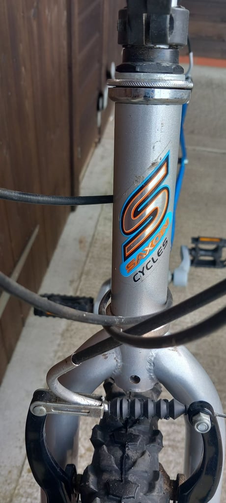 Saxon Mardi-Gras Ladies Mountain Bike. 