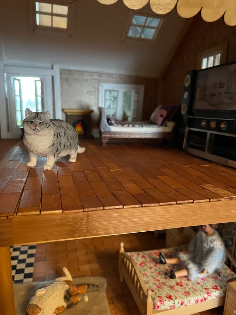 Home made dolls house