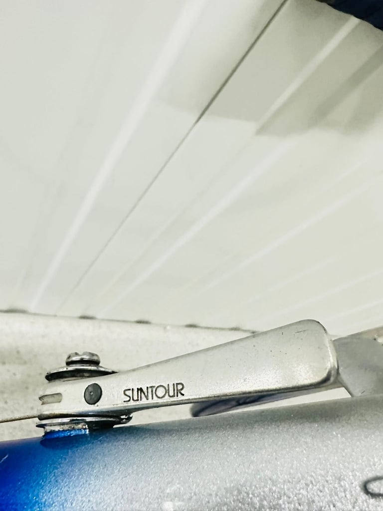 17  RORY O BRAIN Size/54 cm 12 Speed Index Gears Fully Serviced Warranty