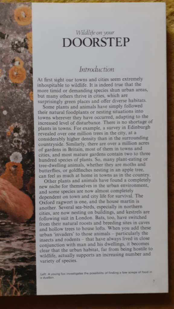 Wildlife On Your Doorstep Readers Digest