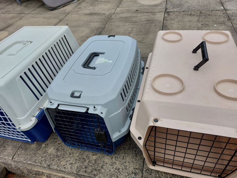 image for 3 large pet travel boxes
