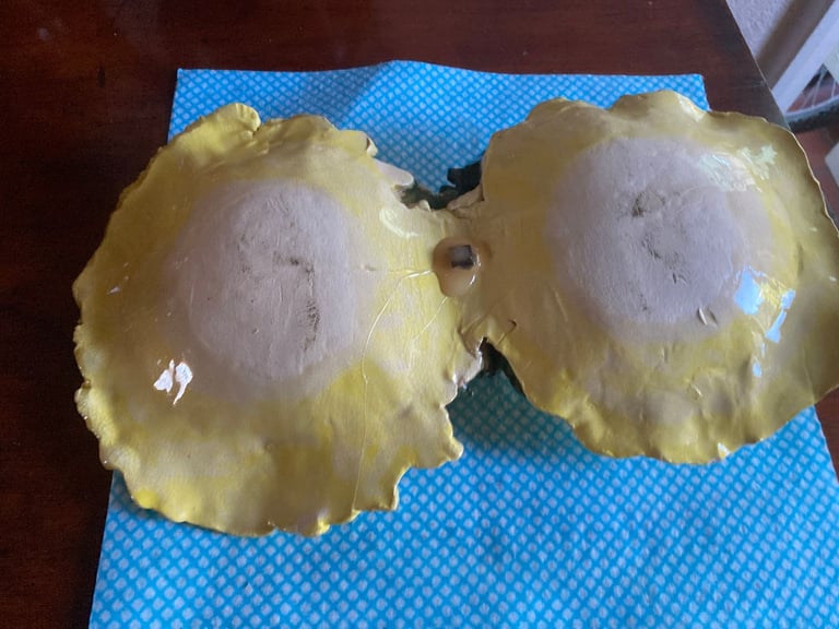 Vintage Yellow Cabbage Leaf Serving Dish reasonable offers accepted