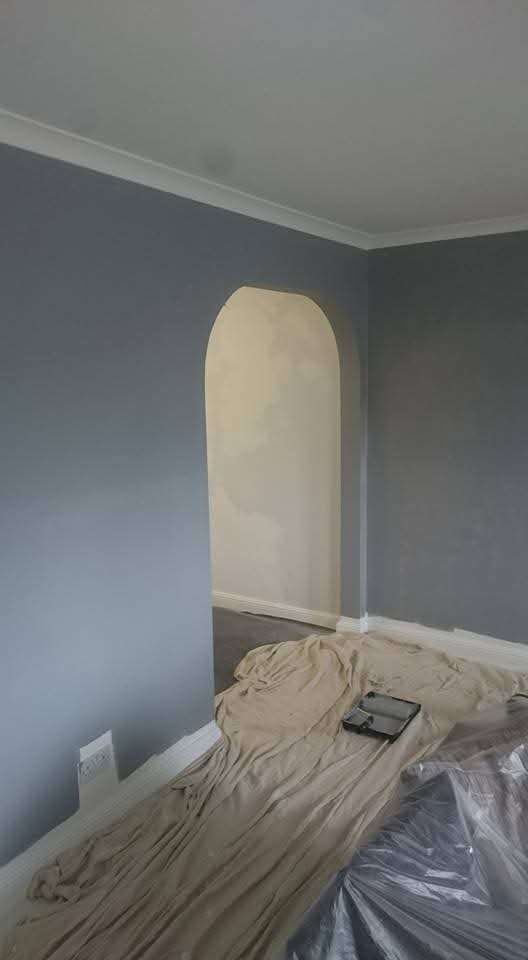 Professional Painter & Decorator