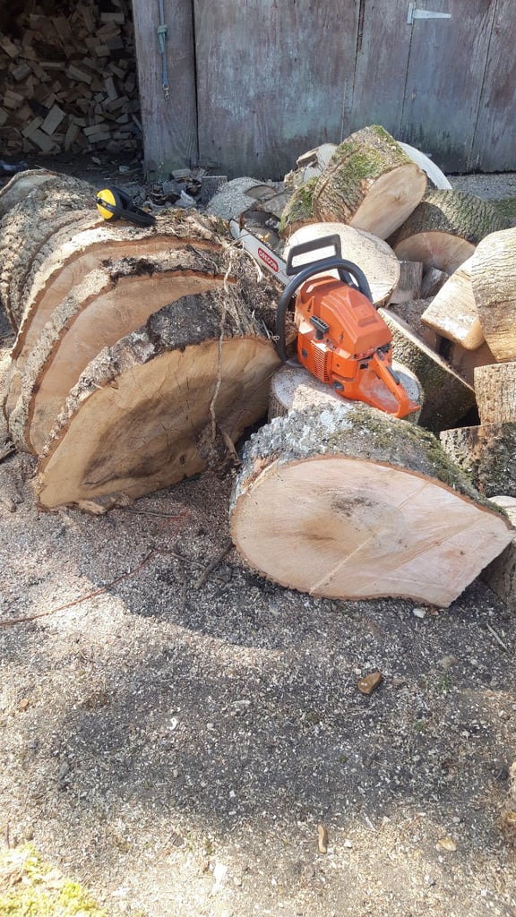 Logs for wood burner 
