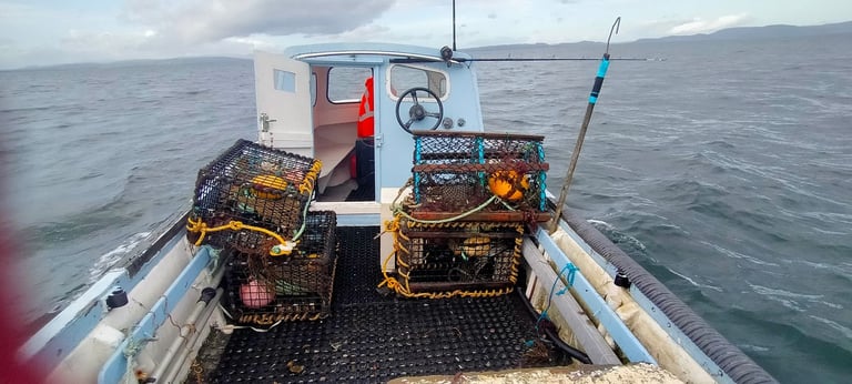 TaskForce 5.8 m Sea Fishing boat with 2 outboards and trailer