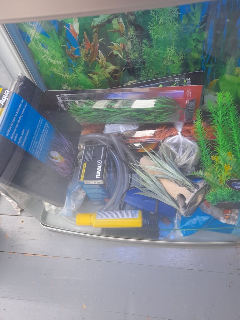 Fish tank