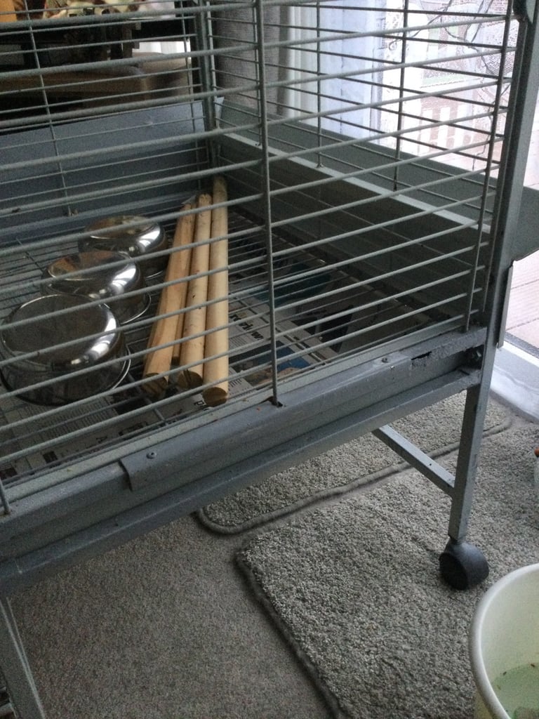 Large parrot cage