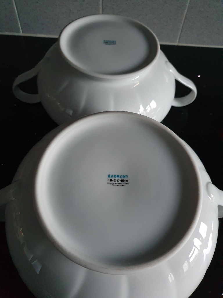 REDUCED!  Set of 2 White Harmony Porcelain Terrines with Lids