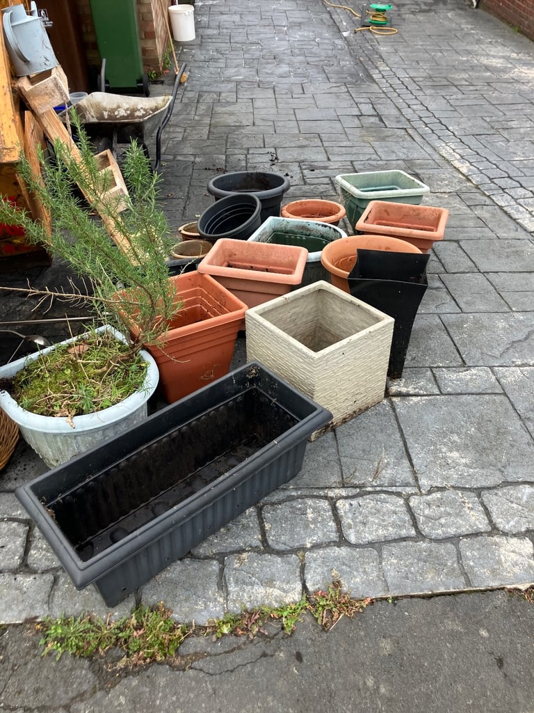 FREE POTS 