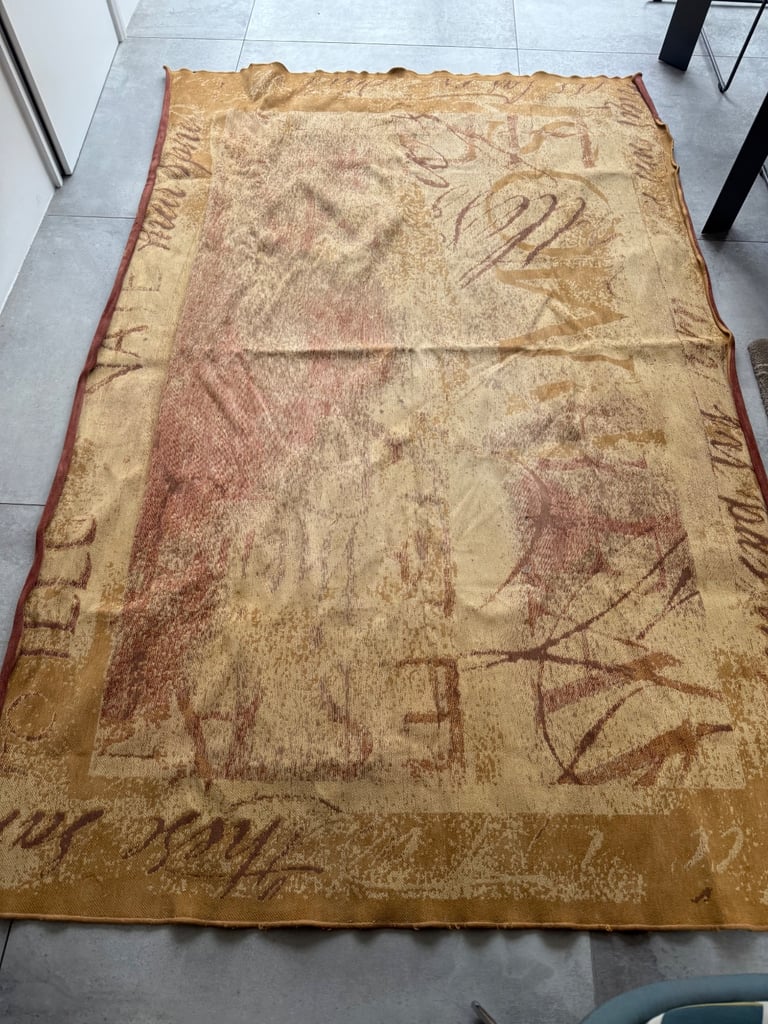Beautiful rug from M&S 