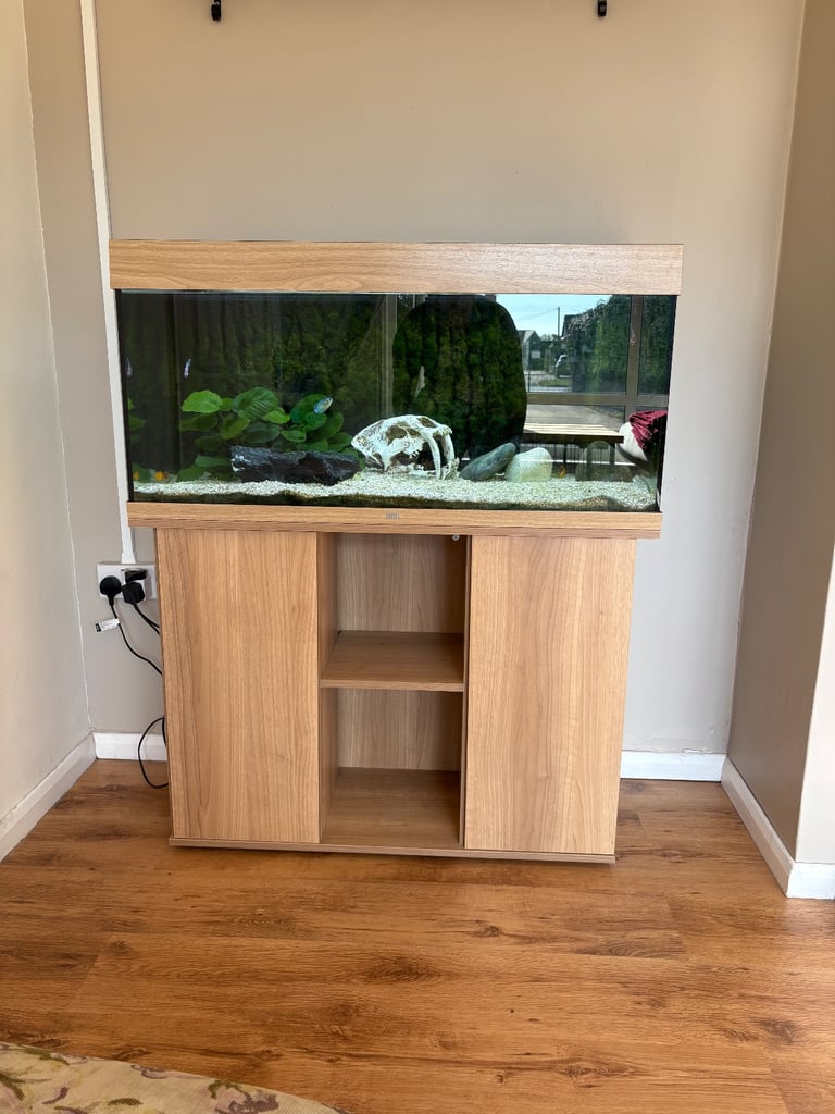 Open to sensible offers - JUWEL fish tank 180L (fish included) 