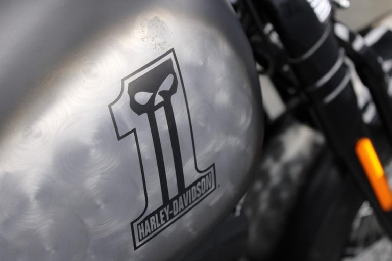 2009 Harley-Davidson FLSTSB Softail Crossbones in Denim Black