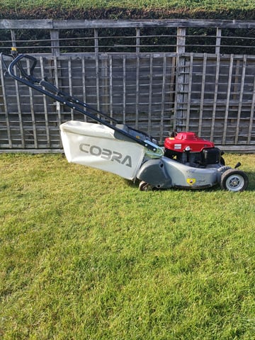 PRO MOWER 21 INCH COBRA ROLLER DRIVE in Malmesbury