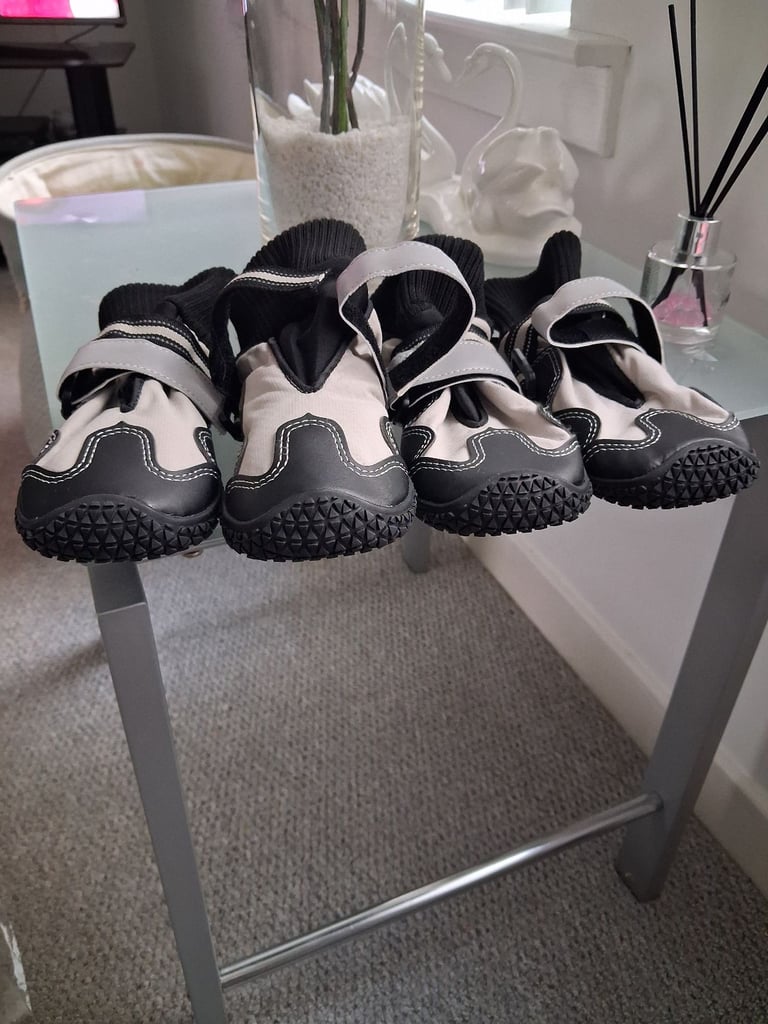 image for New dog boots £3 single boot