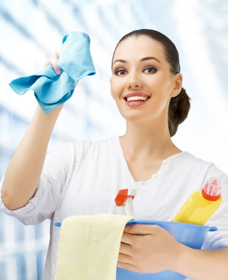 Do you need a domestic cleaner or housekeeper?